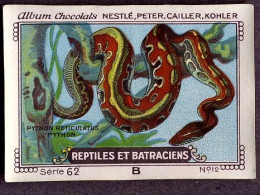 Nestlé - 62B - Reptiles Et Batraciens, Reptiles And Amphibians - 12 - Python - Nestlé