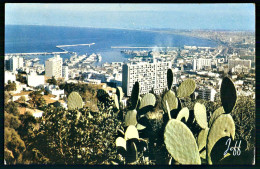 A70  ALGERIE CPSM ALGER - PANORAMA - Collezioni E Lotti