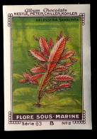 Nestlé - 63B - Flore Sous Marine, Sea Plants - 2 - Delesseria Sanguinea - Nestlé