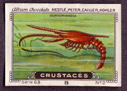 Nestlé - 68B - Crustacés, Crustacea, Crustaceans - 2 - Guatophanzia - Nestlé