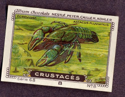 Nestlé - 68B - Crustacés, Crustacea, Crustaceans - 8 - Ecrevisse, Crayfish - Nestlé