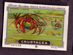 Nestlé - 68B - Crustacés, Crustacea, Crustaceans - 10 - Bernard L'ermite, Hermit Crab - Nestlé