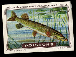 Nestlé - LXV - Poissons, Fish - 4 - Brochet - Nestlé