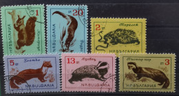 Bulgarien 1963 Wildlebende Säugetiere Mi 1377/82° Gest. - Gebraucht