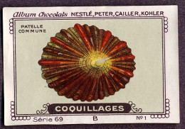 Nestlé - 69B - Coquillages, Shellfish - 1 - Patelle - Nestlé