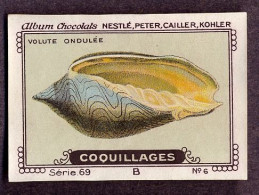 Nestlé - 69B - Coquillages, Shellfish - 6 - Volute Ondulée - Nestlé