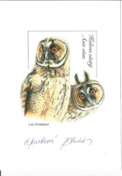 Czech Republic European Owls Asio Otus 2015 - Búhos, Lechuza