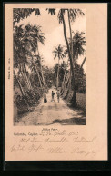 AK Colombo,  A Bye Path  - Sri Lanka (Ceylon)