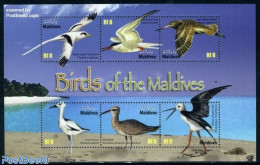 Maldives 2010 Birds Of The Maldives 6v M/s, Mint NH, Nature - Birds - Maldivas (1965-...)