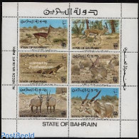 Bahrain 1982 Al Areen Park 6v M/s, Mint NH, Nature - Animals (others & Mixed) - National Parks - Rabbits / Hares - Naturaleza