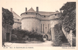 53-LASSAY-N°3856-A/0083 - Lassay Les Chateaux