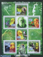 Comoros 2009 Charles Darwin 6v M/s, Mint NH, History - Nature - Explorers - Animals (others & Mixed) - Birds - Monkeys - Explorers