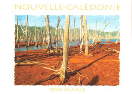 FRANCE - Nouvelle Calédonie - Terre Sauvage - Carte Postale Récente - Nouvelle Calédonie