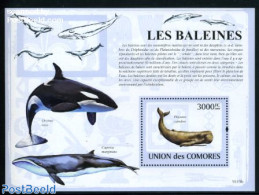 Comoros 2009 Whales S/s, Mint NH, Nature - Sea Mammals - Isole Comore (1975-...)