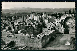 A70  ALGERIE CPA  TEBESSA - VUE GENERALE DE LA BASILIQUE - Collezioni E Lotti