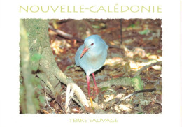 FRANCE - Nouvelle Calédonie - Terre Sauvage - Le Cagou - Carte Postale - Nouvelle Calédonie