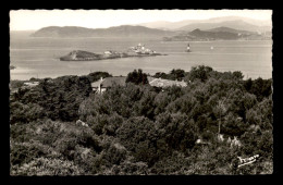 83 - ILE DE PORQUEROLLES - LE PETIT LANGOUSTIER - Porquerolles