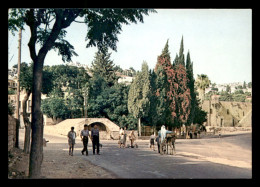 ISRAEL - NAZARETH - MARY'S WELL - Israël