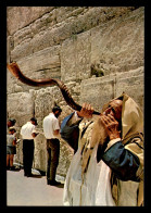 ISRAEL - BLOWING THE SHOFAR BY THE WAILING WALL JERUSALEM - Israël