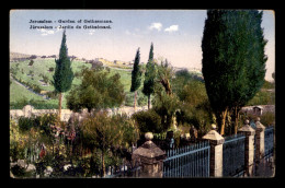 ISRAEL - JERUSALEM - JARDIN DE GETHSEMANI - Israël