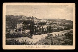 ISRAEL - JERUSALEM - JARDIN DE GETHSEMANI - Israël