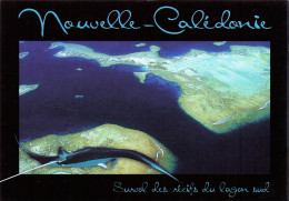 FRANCE - Nouvelle Calédonie - Survol Des Récifs Du Lagon Sud - Le Récif Et La Raie - Carte Postale - Nouvelle Calédonie