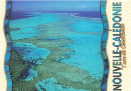 FRANCE - Nouvelle Calédonie - Terre De Contrastes - Magnifique Récif De La Grande Terre - Carte Postale - Nouvelle Calédonie