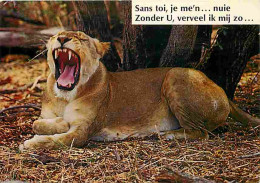 Animaux - Lions - Lionne - CPM - Voir Scans Recto-Verso - Leeuwen