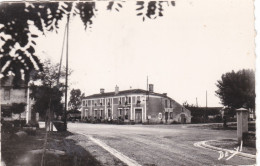 BUSSAC-FORET  -  JONZAC   -   CHARENTE-MARITIME  -  (17)  -  CPSM DENTELEE DES ANNEES 1960. - Jonzac