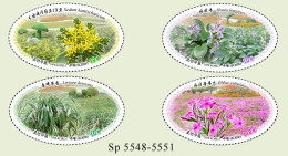 North Korea 2024 Cover Plants  ( Perf) MNH - Korea, North