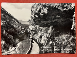 Cartolina - Maniago - Val Colvera - Strada Del Colvera - 1958 - Pordenone