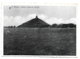 LA BUTTE / DE HEUVEL / THE HILL.- WATERLOO - BRUSELAS.- ( BELGICA ) - Waterloo