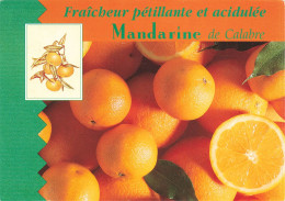 FLEURS - PLANTES & ARBRES - Mandarine De Calabre - Fraîcheur Pétillante Et Acidulée - Carte Postale - Otros & Sin Clasificación