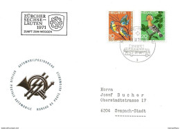 270 - 78 - Enveloppe Avec Oblit Spéciale "Zürcher Sechseläuten 1971" - Marcophilie