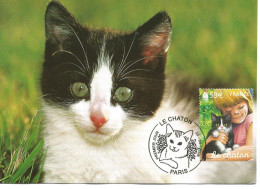 France Carte Maximun Le Chaton 2008 - 2000-2009