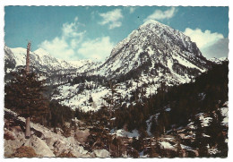 PARQUE NACIONAL " AIGUES TORTES " / PARC NATIONAL " AIGUES TORTES ".- .- VALL DE BOHI - LLEIDA.- ( CATALUNYA) - Lérida