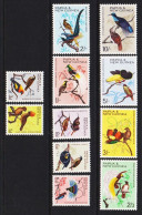 1964-1965. PAPUA & NEW GUINEA. Birds Complete Set Never Hinged. Beautiful Set. (Michel 62-72) - JF543897 - Papoea-Nieuw-Guinea