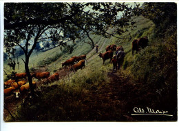 CPSM  10.5 X 15 Photo Albert MONIER Prestige De La Terre Sur Les Pentes Paysan Menant Son Troupeau De Vaches Au Paturage - Monier