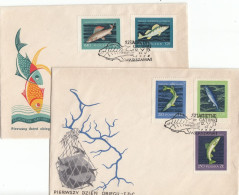 FDC POLAND 1051-1055,fishes - FDC
