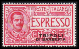 1909. TRIPOLI. TRIPOLI DI BARBERIA Overprint On ESPRESSO CENT 25, Hinged.  (Michel 11) - JF544021 - Tripolitania