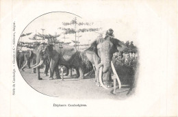 ELEPHANTS CAMBODGIENS - Cambodge
