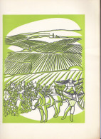 Brochure De 12 Pages De 1960 " UN DEMI SIECLES DE GRANDS MILLESIMES " Maison PATRIARCHE  BEAUNE _RL214a,b,c,d - Andere & Zonder Classificatie