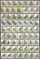 Belgium Birds Buzin , All Types Off Stamps And Papers According COB 1985 / 2022 High Catalogue Value - Konvolute & Serien