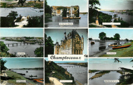 49 - CHAMPTOCEAUX - Champtoceaux