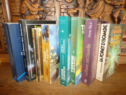 Lot De 8 Livres - SF Grand Format - Altri & Non Classificati