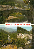 48 - LE PONT DE MONTVERT - Le Pont De Montvert
