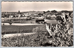 (34) 386, Pezenas, Collection Lanet, Vue Générale - Pezenas