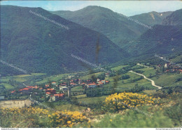 I746 Cartolina Gazzano Panorama E Val Dolo Provincia Di Reggio Emilia - Reggio Nell'Emilia