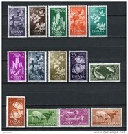 Sahara 1962. Completo ** MNH. - Spanish Sahara