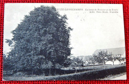 LEUZE-LONGCHAMPS  -  La Ferme De Roissier Et La Tombe - Eghezée